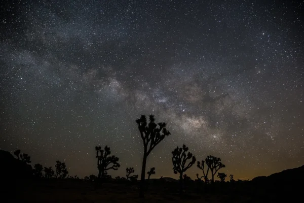 Astrophotography: Capturing the Night Sky in Joshua Tree