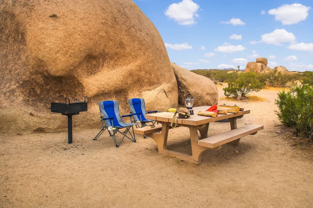 Joshua Tree Camping Supplies